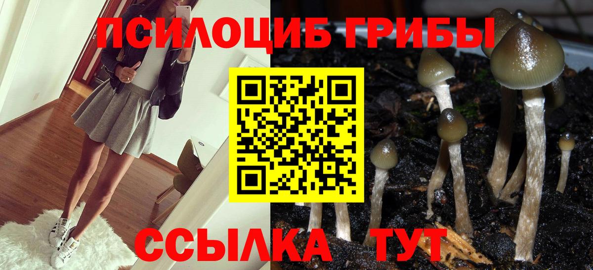 Галлюциногенные грибы ЛСД Екатеринбург